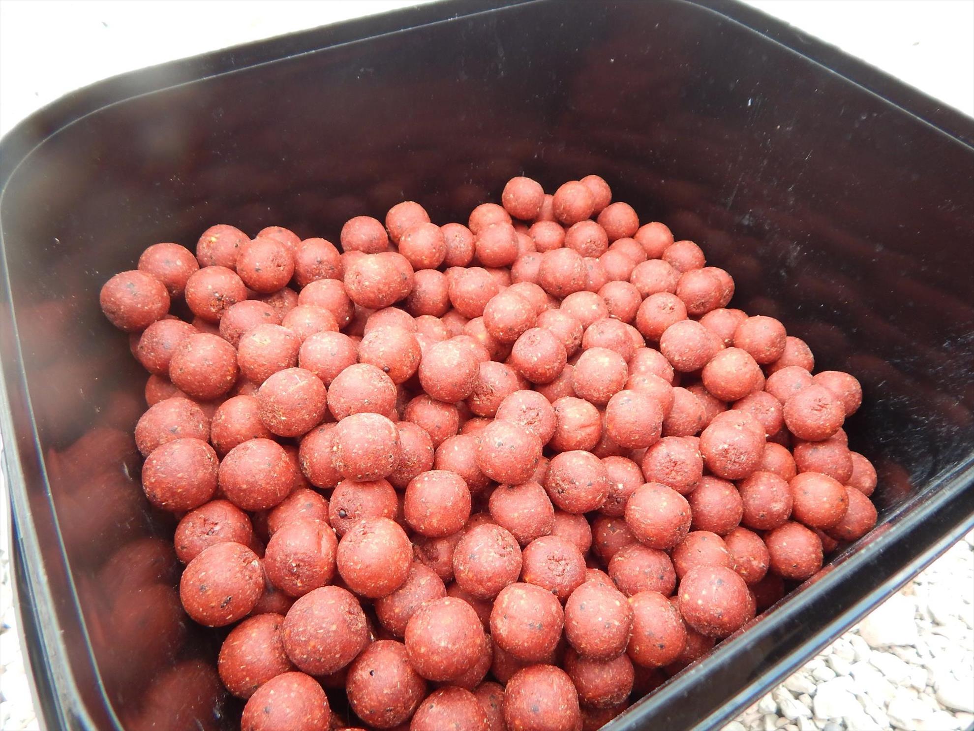 O partida de pescuit in Italia - 118937469072921460115491141266666691572550o.jpg